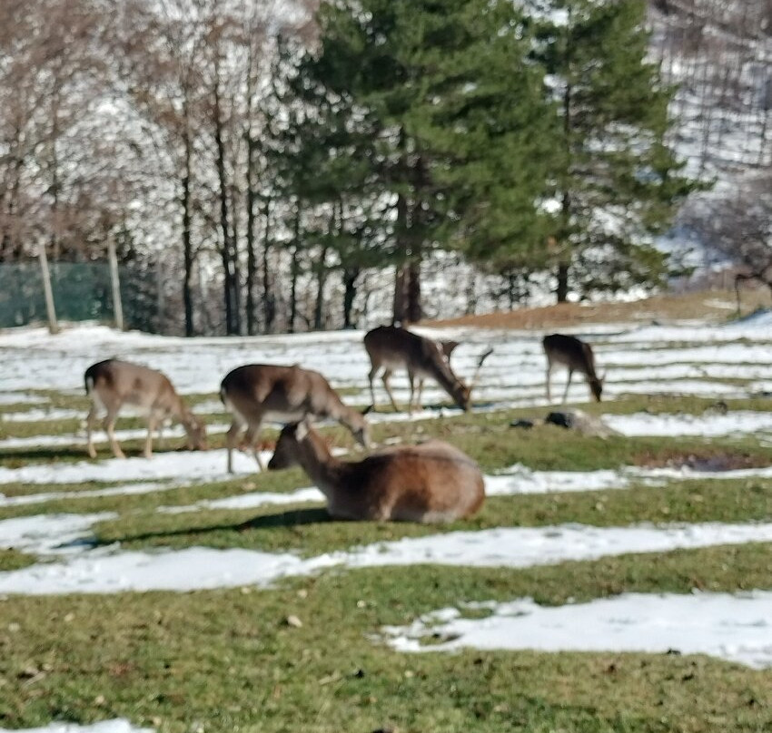 Centro Visita Daini-Scanno必去景点