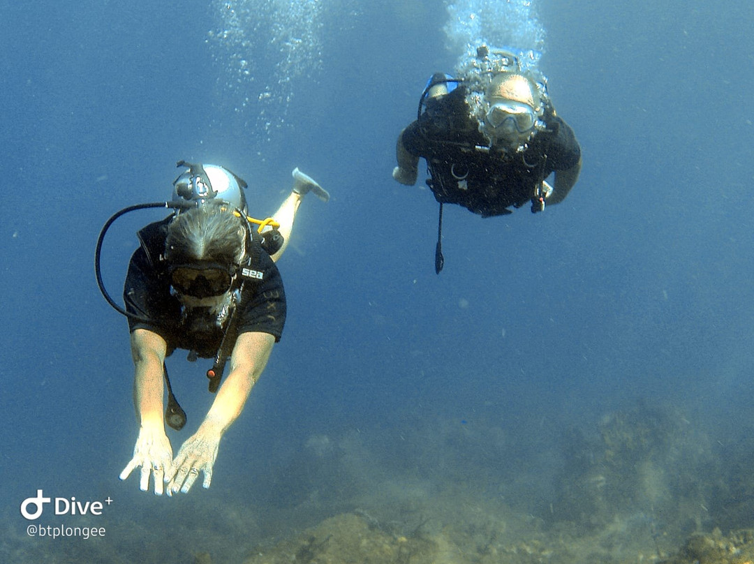 Basse-terre Plongée-Gourbeyre必去景点