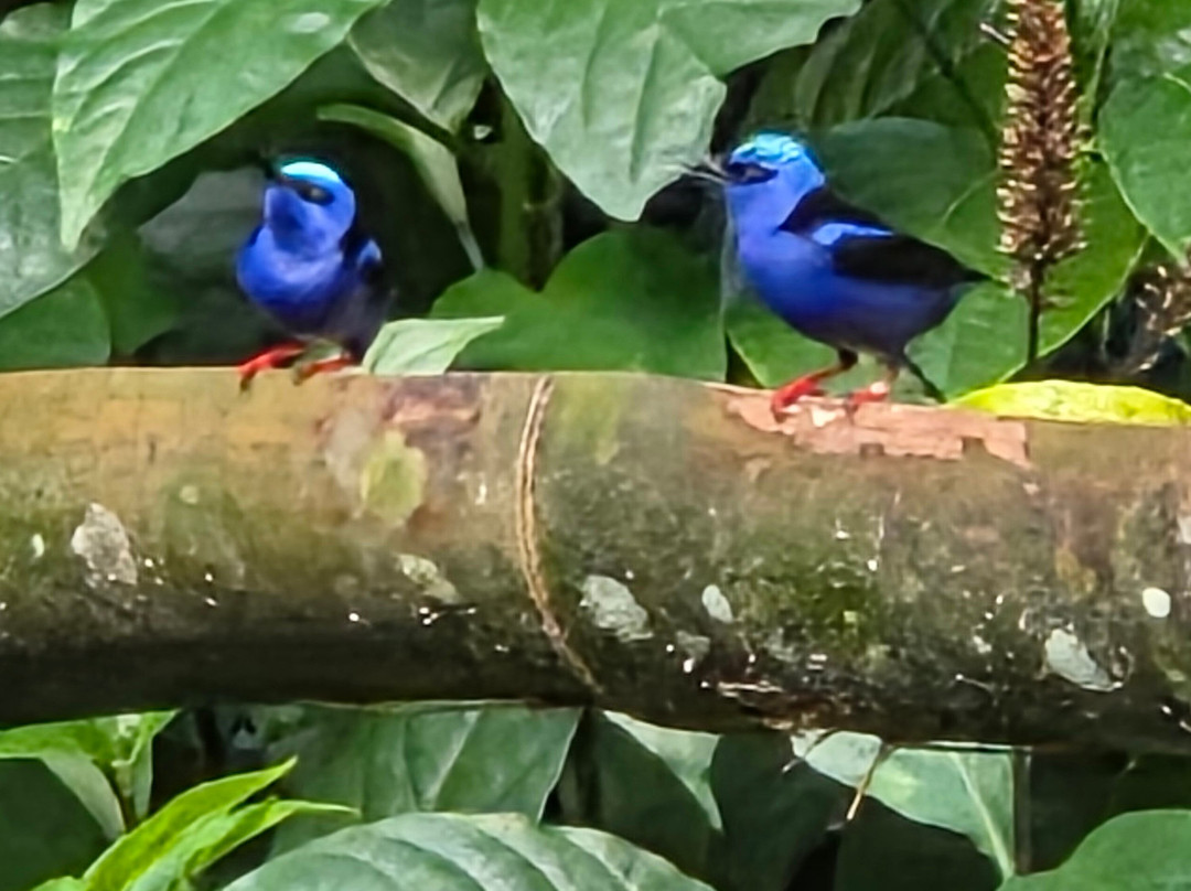 My Costa Rica-圣何塞必去景点