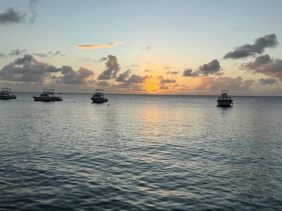 Divi Flamingo Beach Resort & Casino-官方