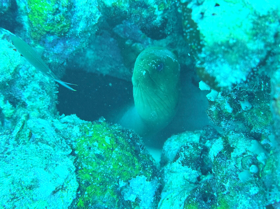 JADS Dive Center-San Nicolas必去景点