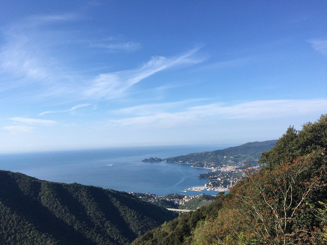 Lorsica酒店住宿-Hotel Ristorante Montallegro