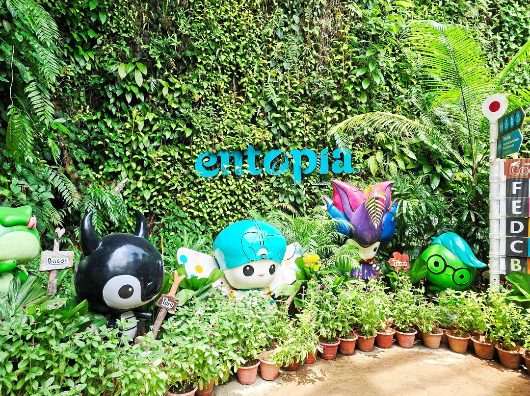 蟲鳴大地-巴巷海滩必去景点