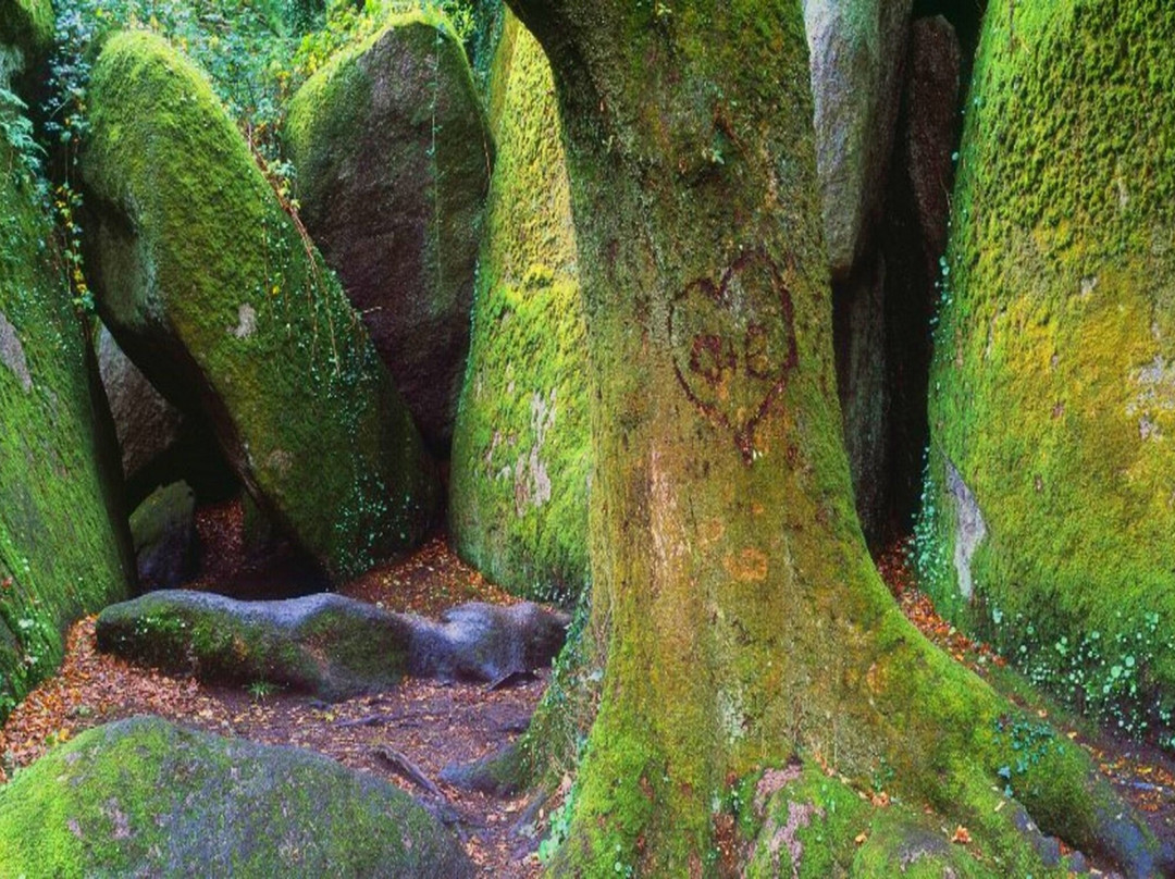 Foret de Huelgoat-Huelgoat必去景点