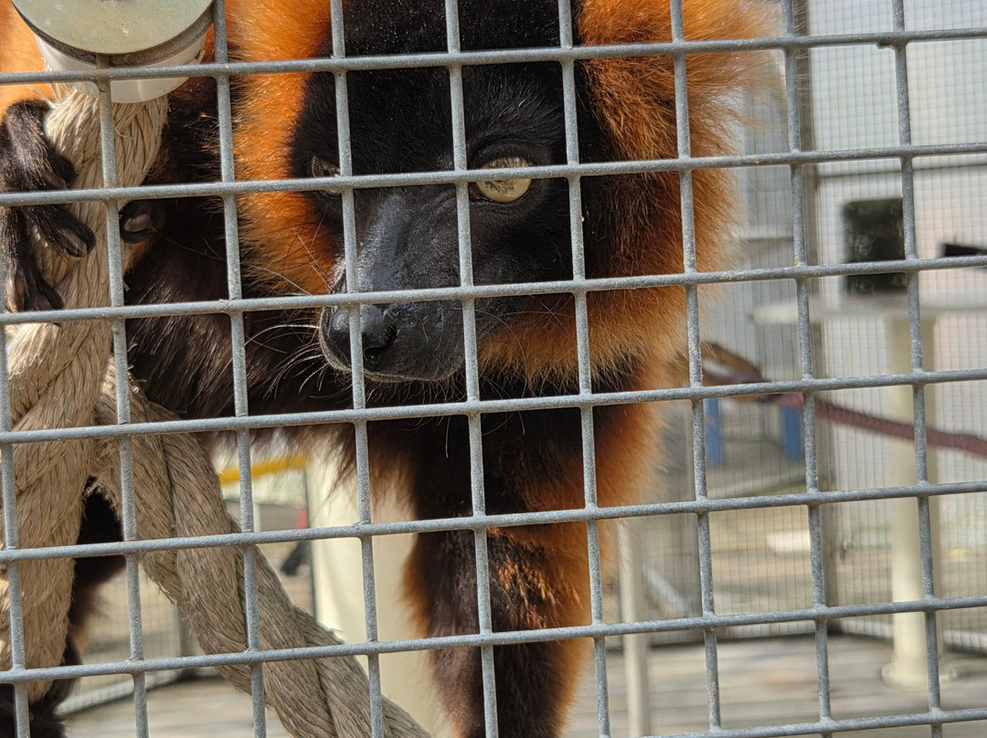 TGR Exotics Wildlife Park-斯普林必去景点