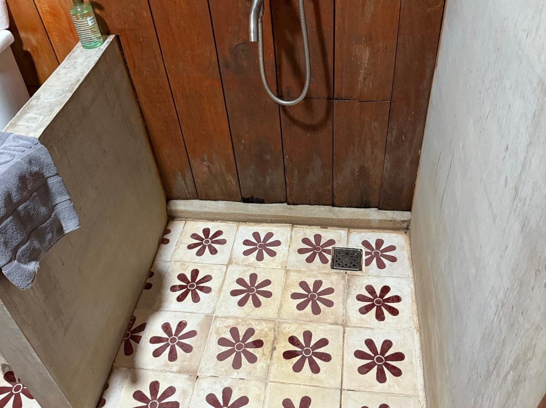 Dontrei Villa Angkor主图