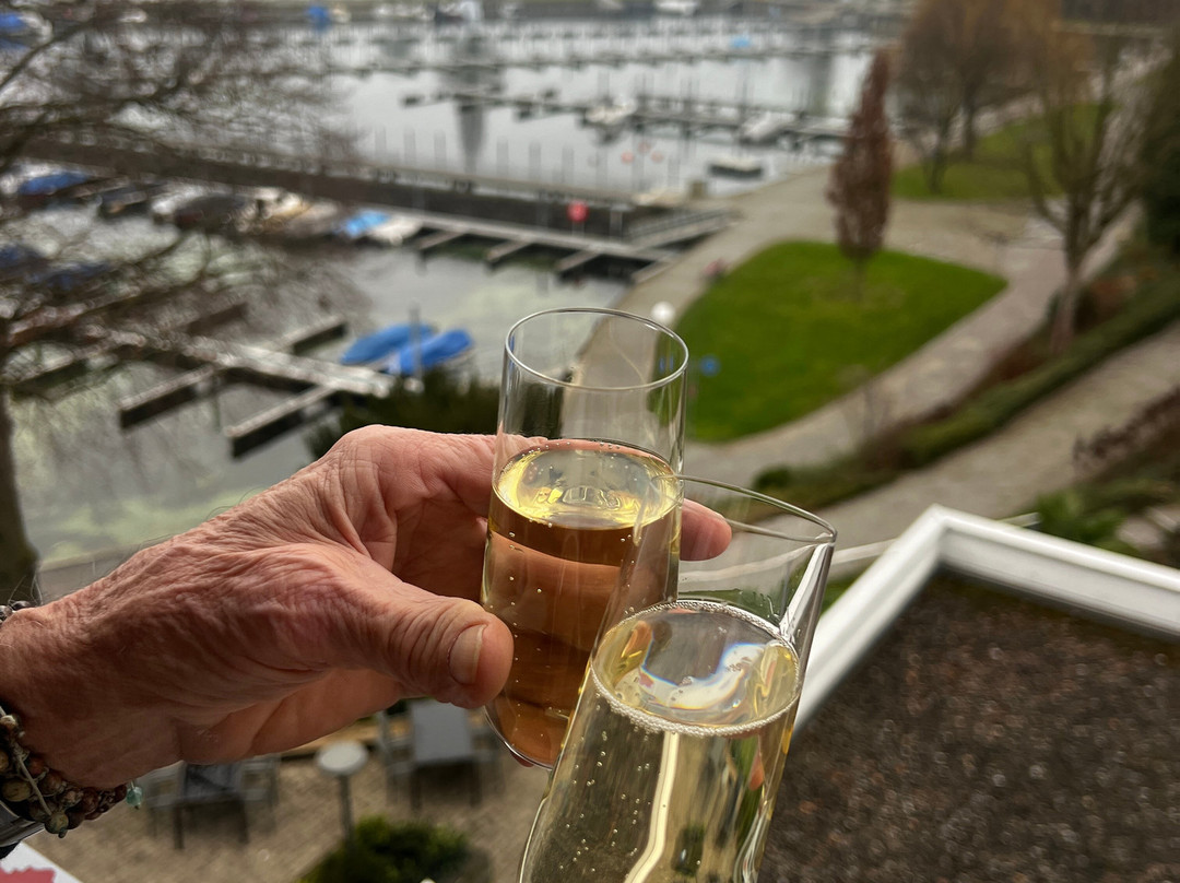 Park-Hotel Inseli主图