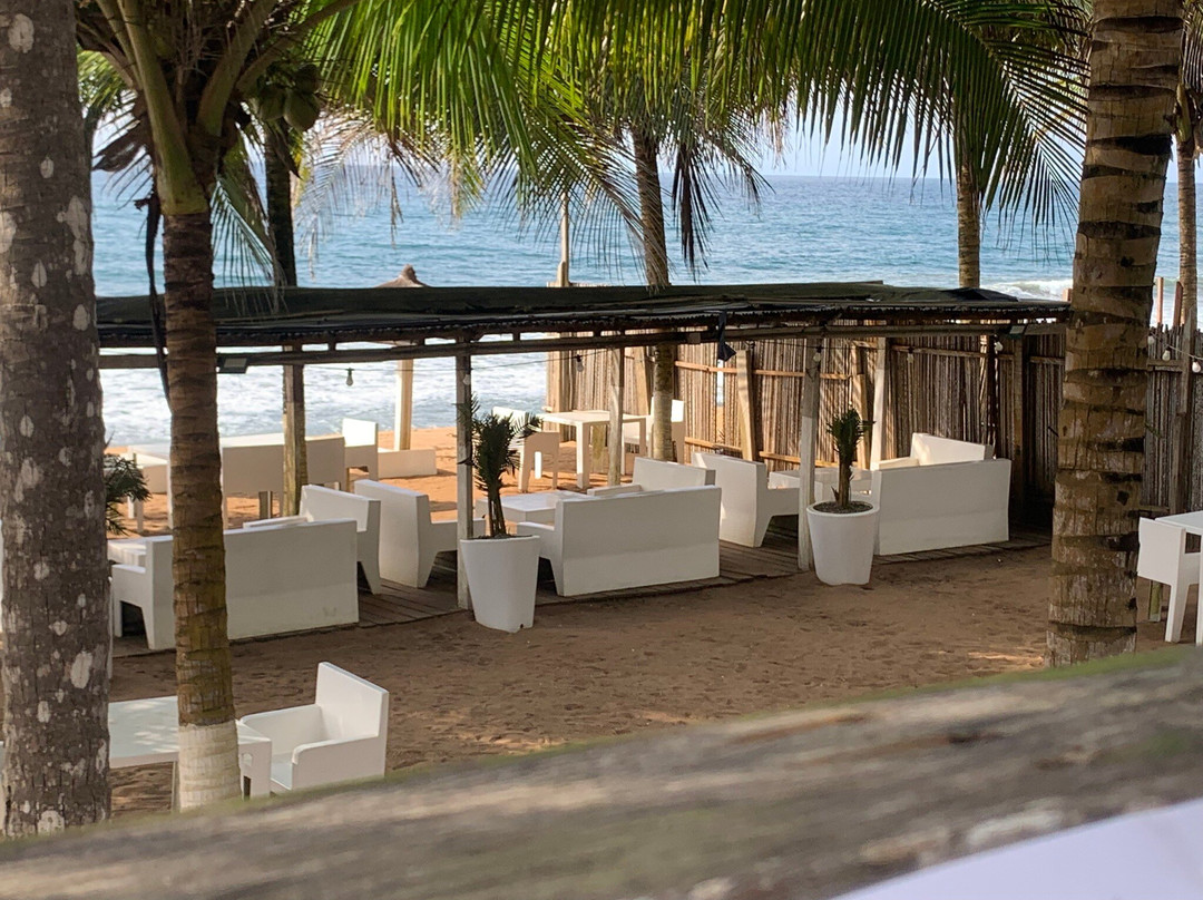 泻湖区餐馆和美食-La Terrasse de Jacqueville