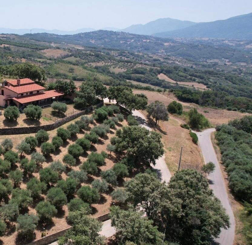 Tenuta Raimo