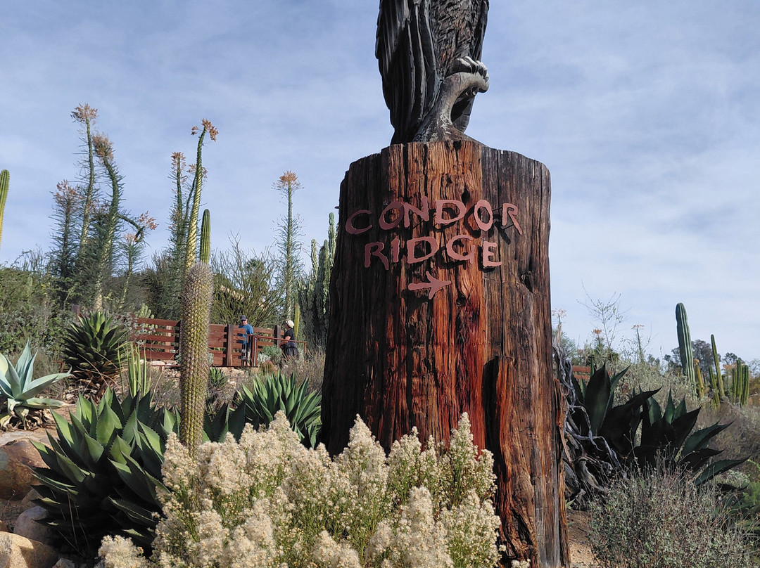 圣地亚哥野生动物公园-埃斯孔迪多必去景点