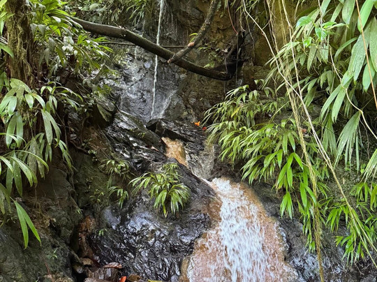Ellis Tours Tobago-克朗波因特必去景点