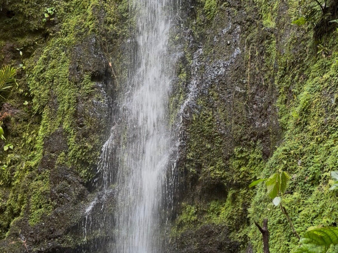 El Palacio del Barbas-Filandia必去景点