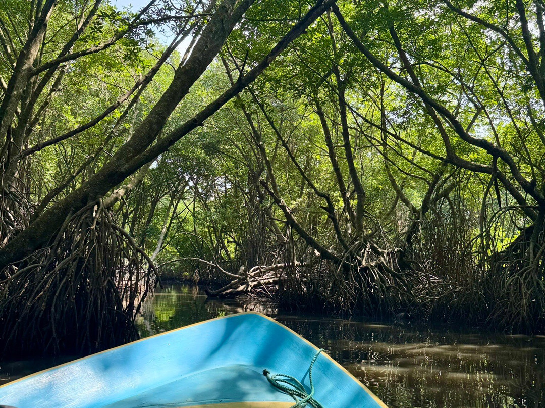 Bentota River-班托塔必去景点