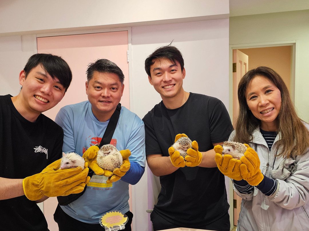 Harajuku Kawaii Land Kyun Kyun-涩谷区必去景点