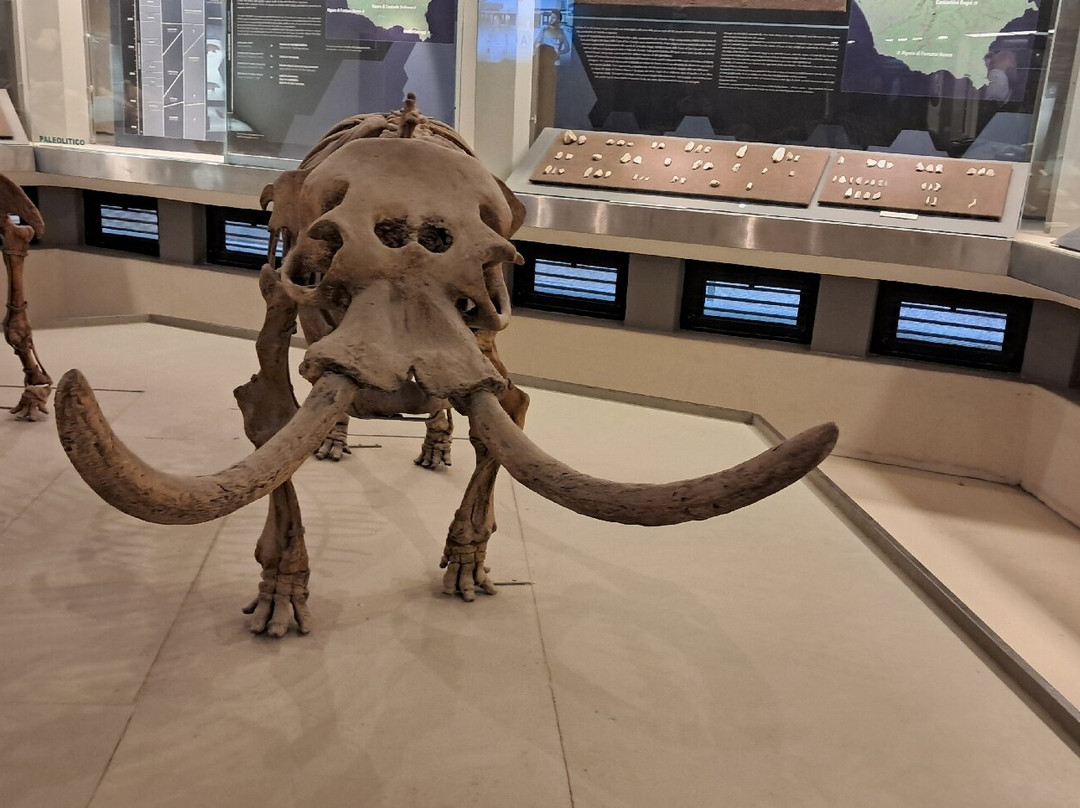 Museo Archeologico Regionale Paolo Orsi-锡拉库扎必去景点