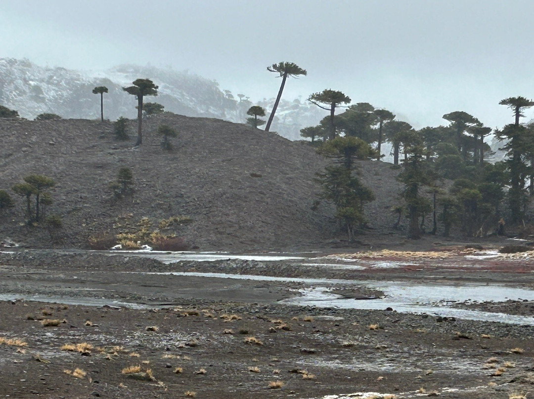 Caviahue酒店住宿-Hotel Spa - Nieves Del Cerro