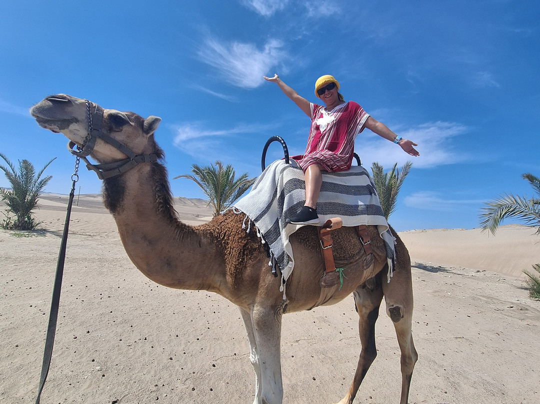 Dromedarius-伊卡必去景点