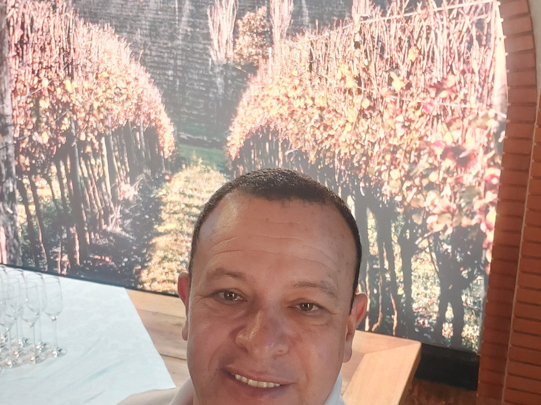 Aurora Winery-本图贡萨尔维斯必去景点