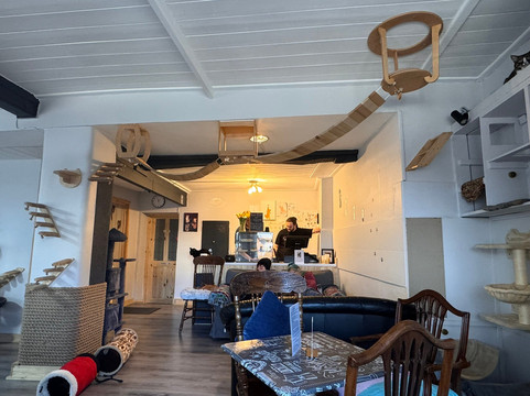 Andover Catfe-Andover必去景点