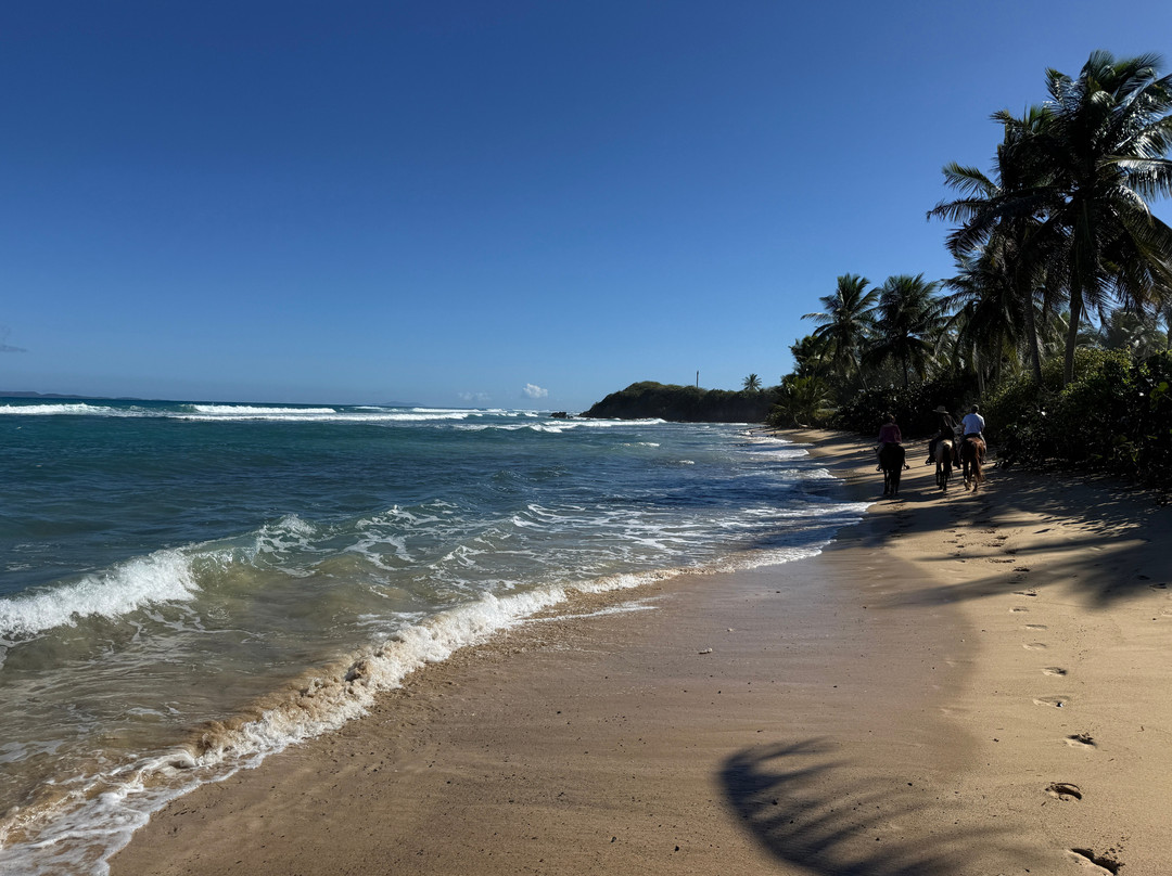 Colon Horseback Riding-维切克岛必去景点