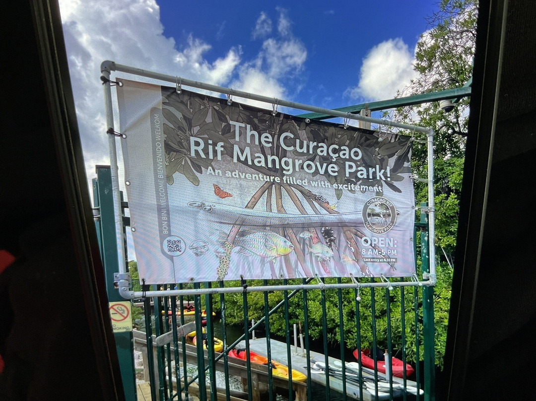 Curaçao Rif Mangrove Park