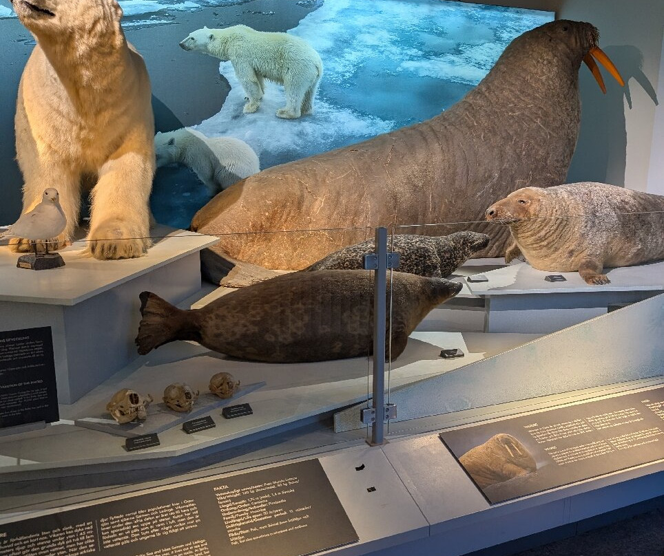 The Natural History Museum-哥德堡必去景点