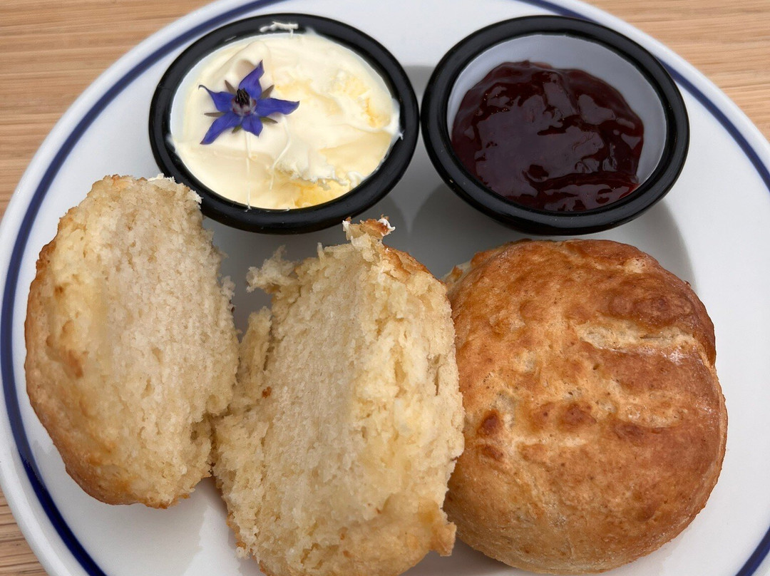 The Story Of Emily-null必去景点