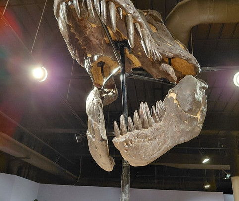 South Carolina State Museum-哥伦比亚必去景点