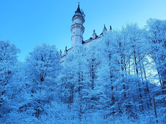 Newmarket Holidays-Wallington必去景点