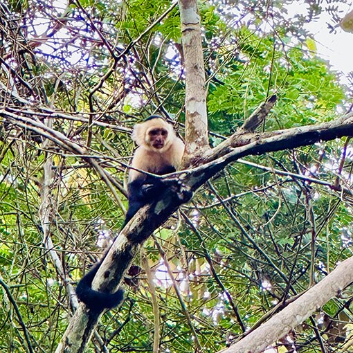 Blue Osa Yoga Retreat and Spa-浴室