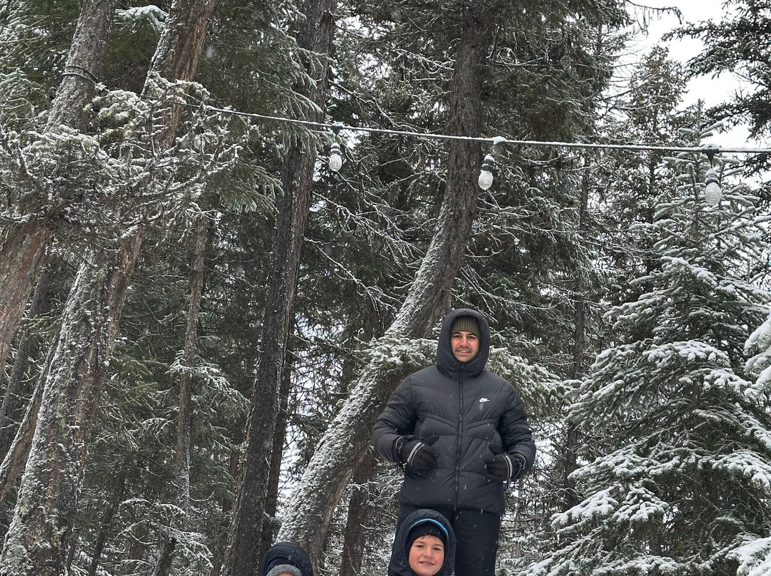 Cripple Creek Horse Ranch-Trego必去景点