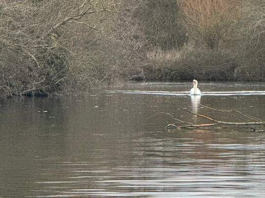 La Maison du Marais-Saint-Martin-au-Laert必去景点