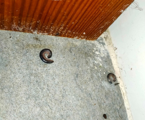 Hotel Rural Casablanca主图