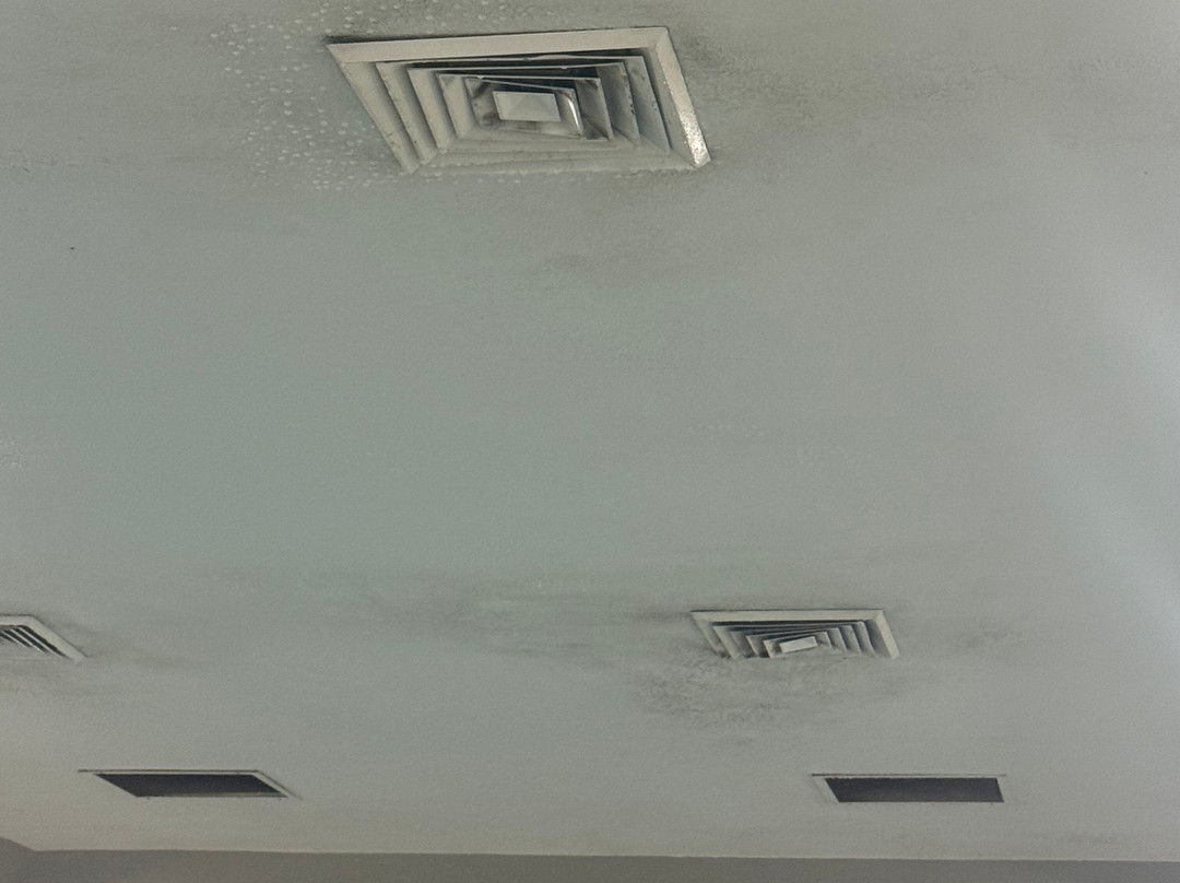 Microtel Inn & Suites by Wyndham New Ulm主图