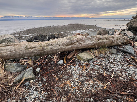 Whiffin Spit-苏克必去景点