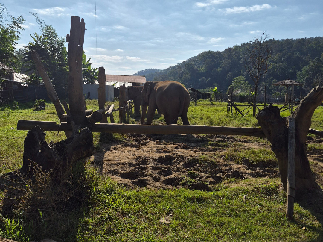 New Elephant Home-Kuet Chang必去景点