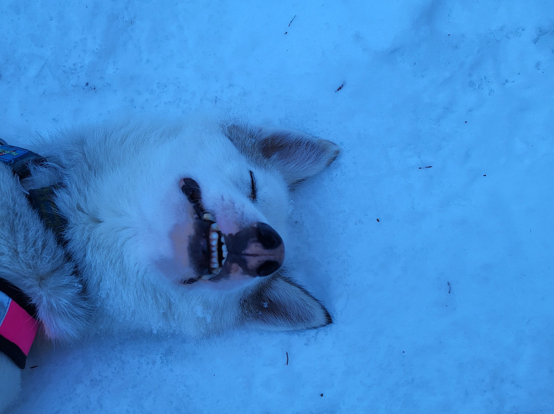 Annecy Aventure-安纳西必去景点
