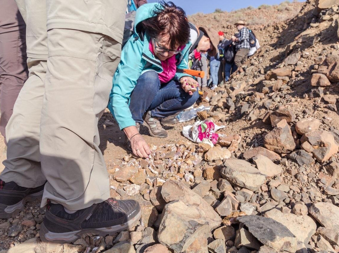 Morocco Fossil Minerals-瓦尔扎扎特必去景点