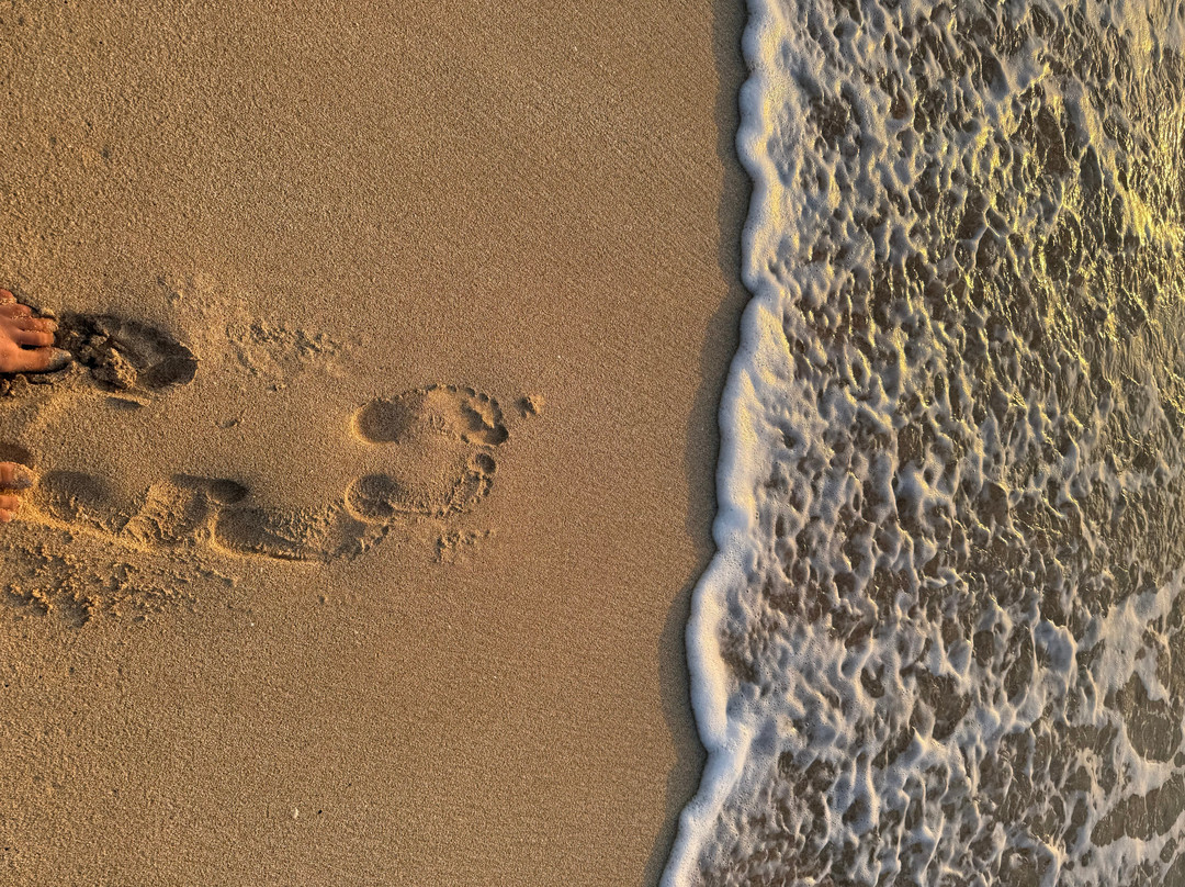Nanakuli Beach Park-怀厄奈必去景点