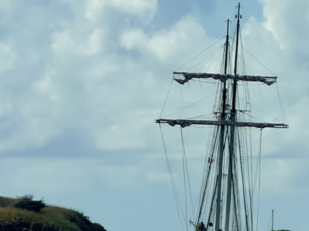 Captain Alan's Boat Charters-Oyster Pond必去景点