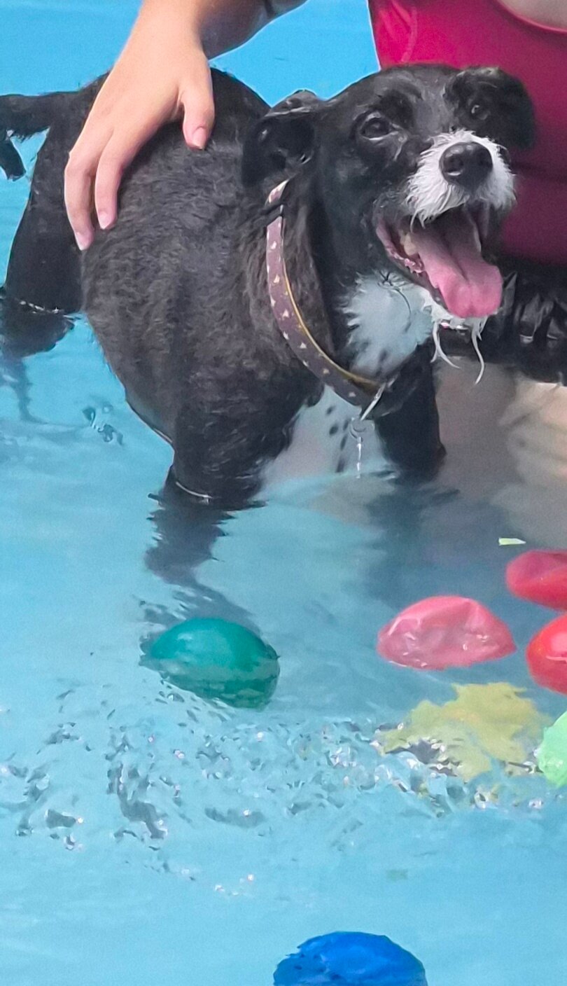 Pousada Portal do Cacau-泳池