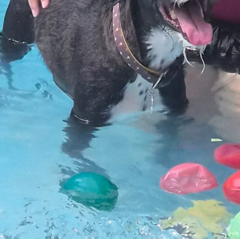 Pousada Portal do Cacau主图