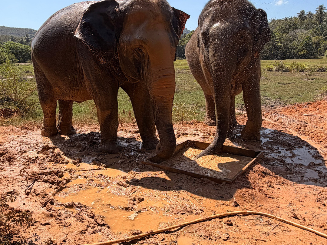 Koh Yao Elephant Beach-阁耀亚伊岛必去景点