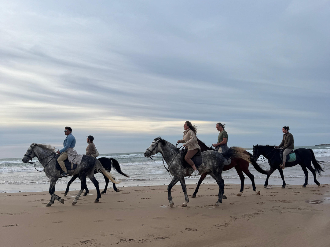 Ocean Ranch Essaouira-索维拉必去景点