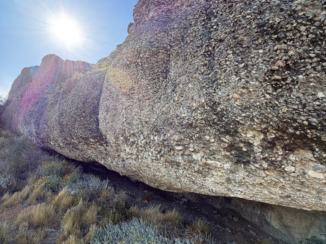 W Circuit Patagonia-纳塔莱斯港必去景点