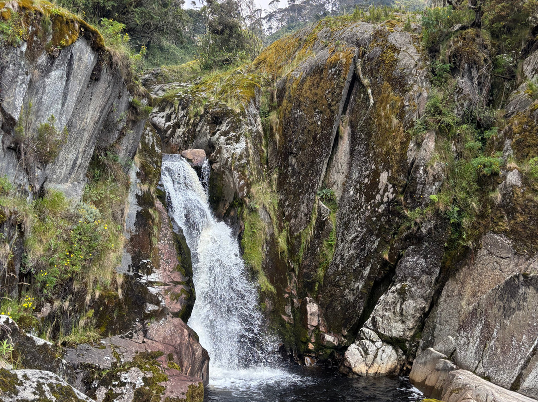 Rwenzori Trekking Services-Kasese必去景点