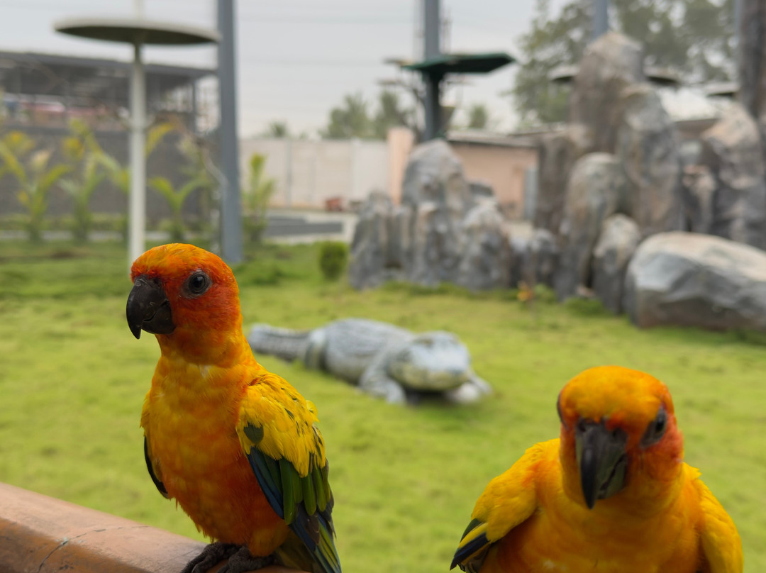 Trichy Birds Park-Tiruchirappalli District必去景点