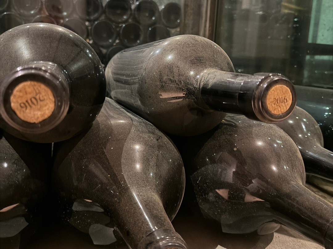 卡潘尼尔葡萄酒度假酒店主图