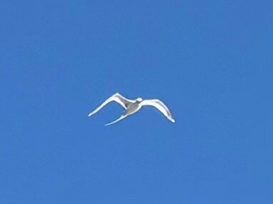 One Drop Excursions-格兰高伯必去景点