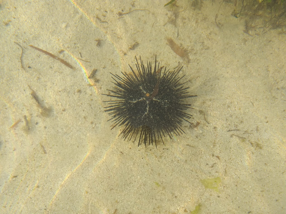 Kalu Safari Kenya-瓦塔木必去景点